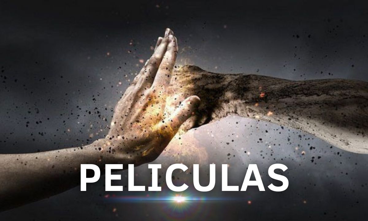PELÃCULAS ENOJO, AGRESIVIDAD & VIOLENCIA